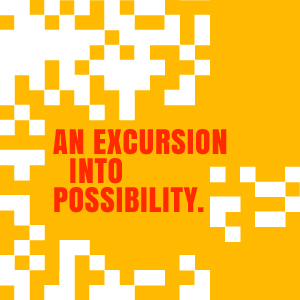 Landmark Insights: An excursion into possibility